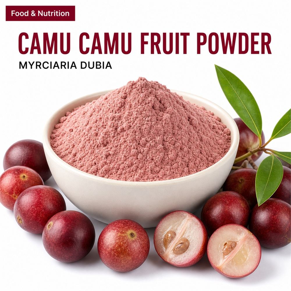 Camu Camu Powder for Bulk Ingredient Sourcing product main image
