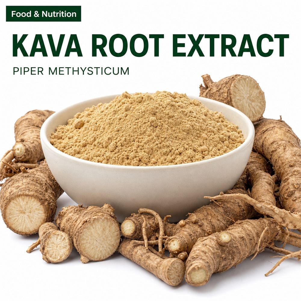 Kava Extract for Bulk Ingredient Sourcing product main image