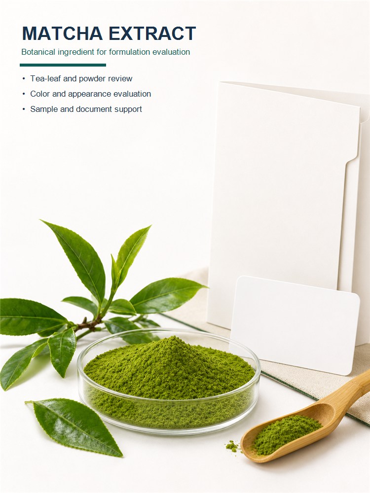 Matcha Powder for Bulk Ingredient Sourcing product detail image 7