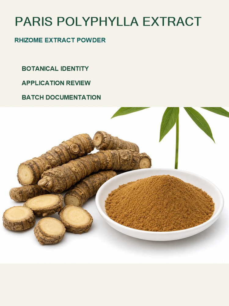 Paris Polyphylla Extract Powder for Bulk Ingredient Sourcing product detail image 7