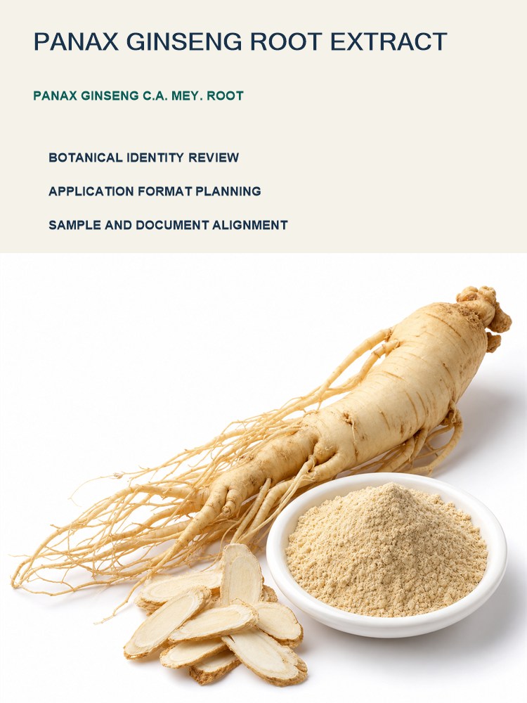 Ginseng Root Extract for Bulk Ingredient Sourcing product detail image 7