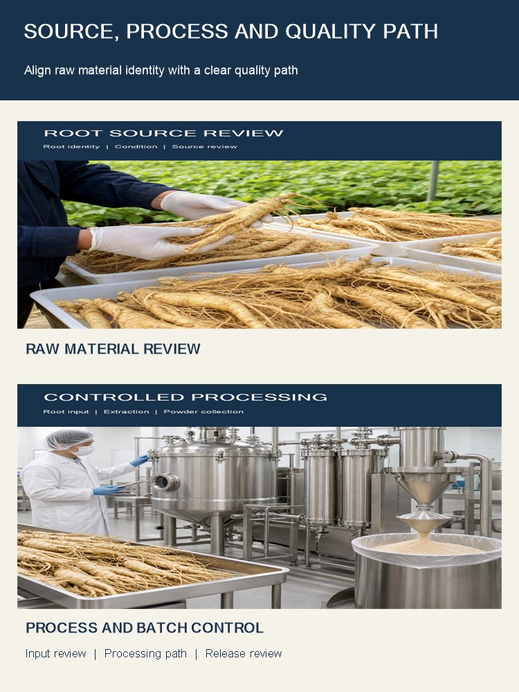 Ginseng Root Extract for Bulk Ingredient Sourcing product detail image 8