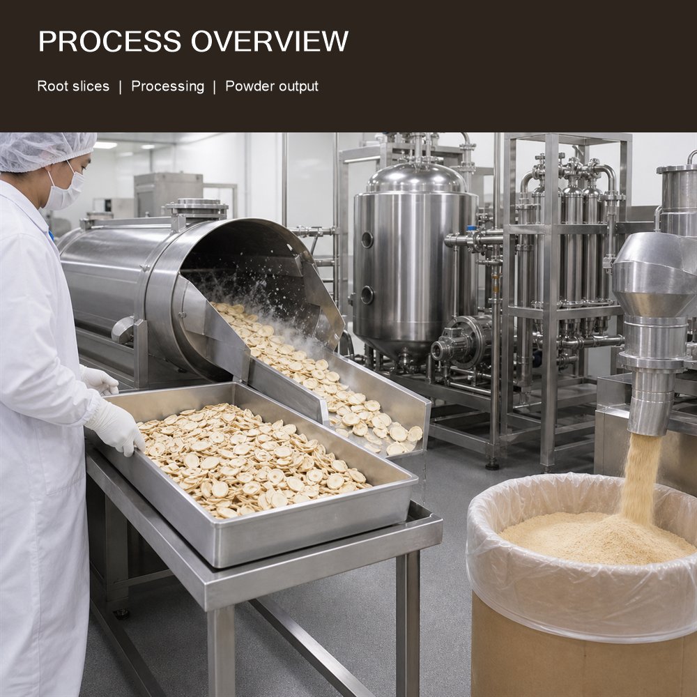 Ginseng Extract Powder for Bulk Ingredient Sourcing product detail image 3
