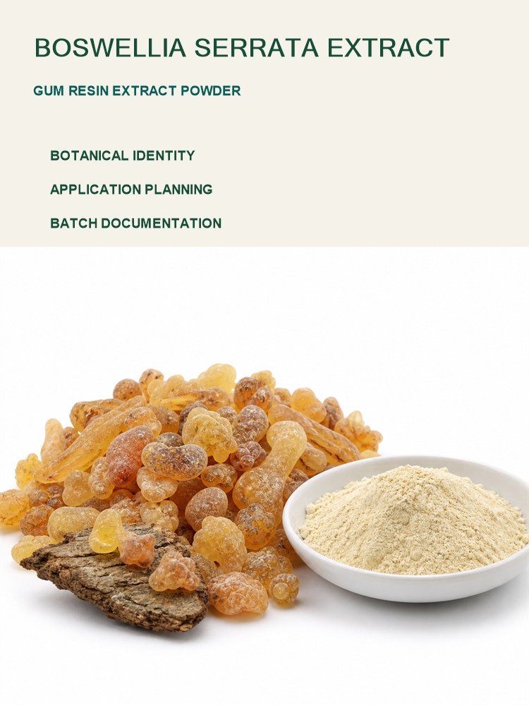 Frankincense Extract for Bulk Ingredient Sourcing product detail image 8