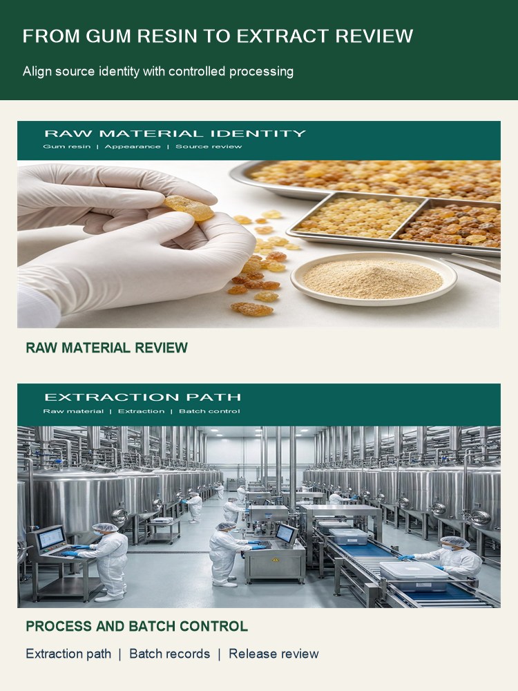 Frankincense Extract for Bulk Ingredient Sourcing product detail image 9