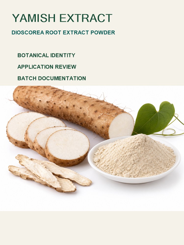 Chinese Yam Extract for Bulk Ingredient Sourcing product detail image 7