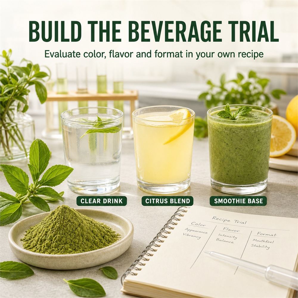 Stevia Leaf Powder for Bulk Ingredient Sourcing product detail image 4