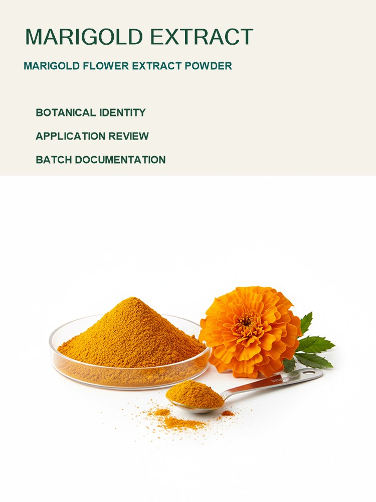 Marigold Extract for Bulk Ingredient Sourcing product detail image 7