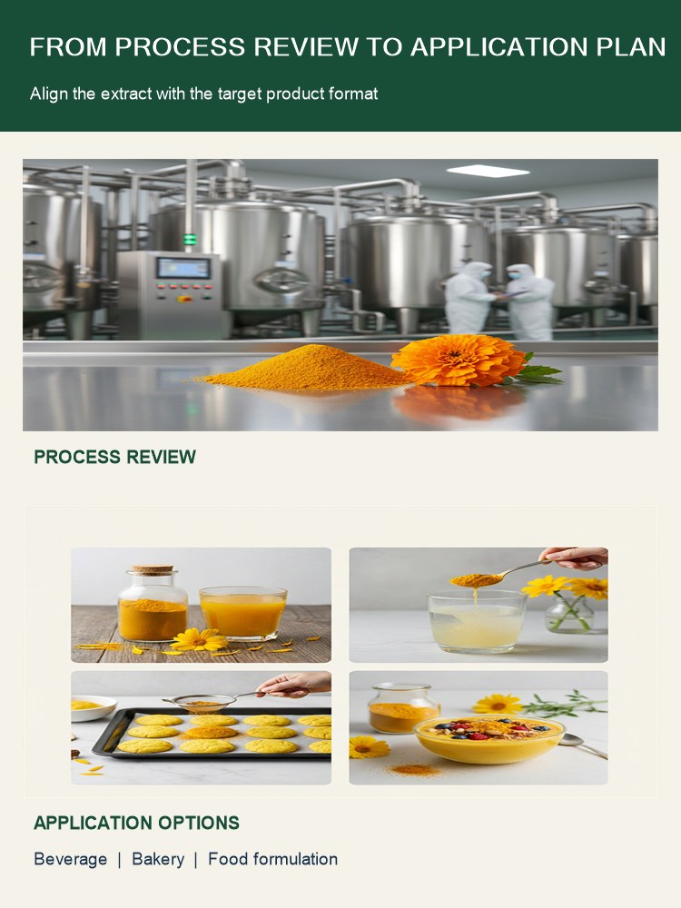 Marigold Extract for Bulk Ingredient Sourcing product detail image 8