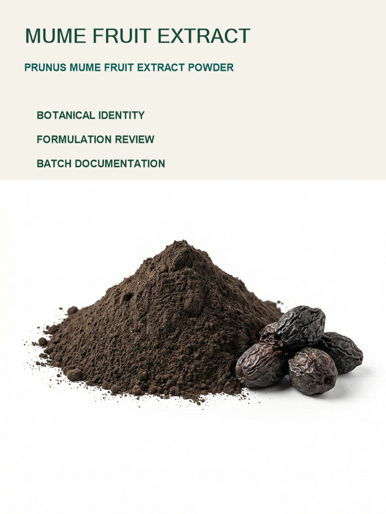 Smoked Plum Extract for Bulk Ingredient Sourcing product detail image 7