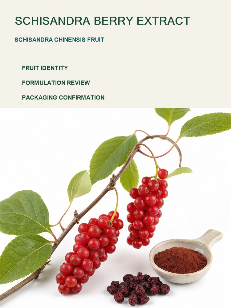 Schisandra Extract Powder for Bulk Ingredient Sourcing product detail image 7