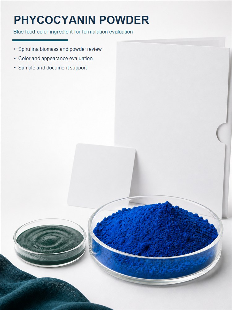 Phycocyanin Extract Powder for Bulk Ingredient Sourcing product detail image 7