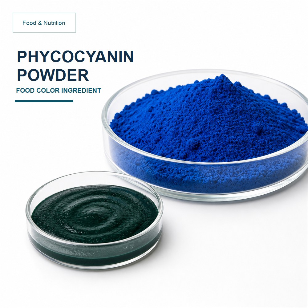 Phycocyanin Extract Powder for Bulk Ingredient Sourcing product main image