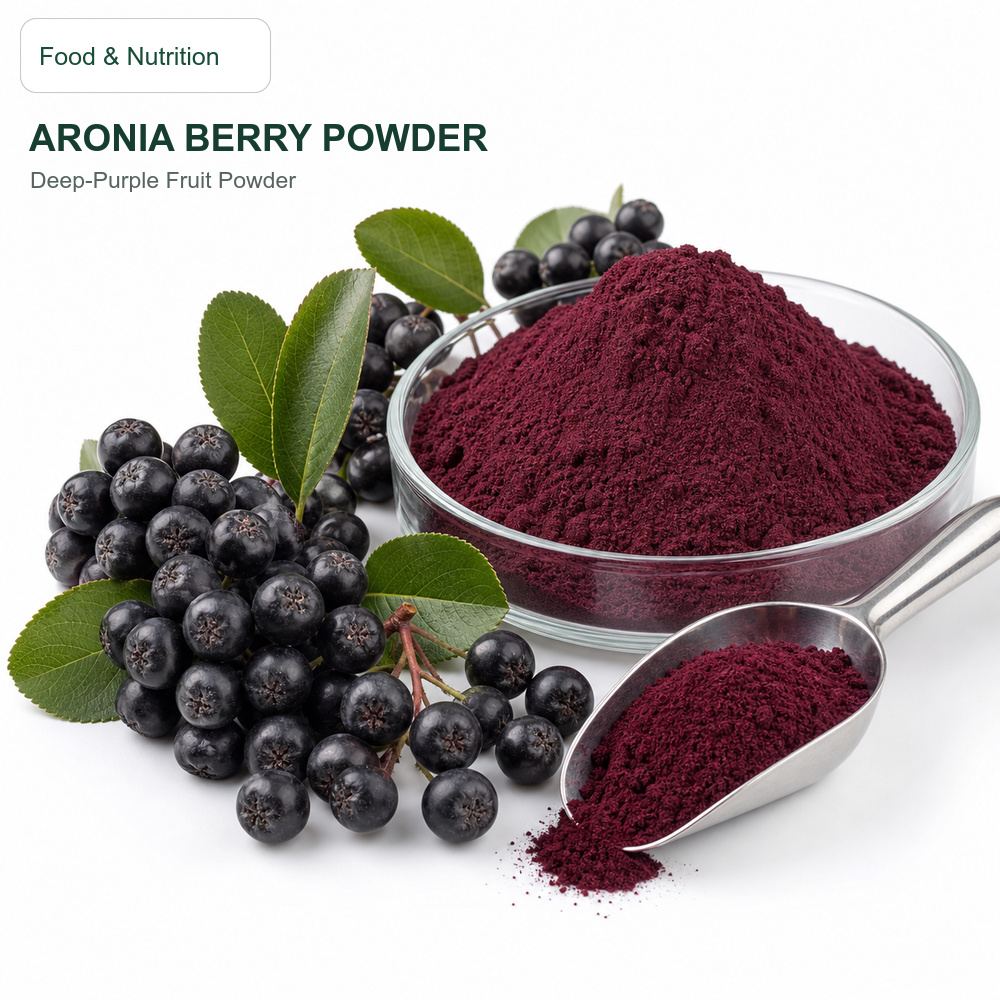 Aronia Berry Powder for Bulk Ingredient Sourcing product main image