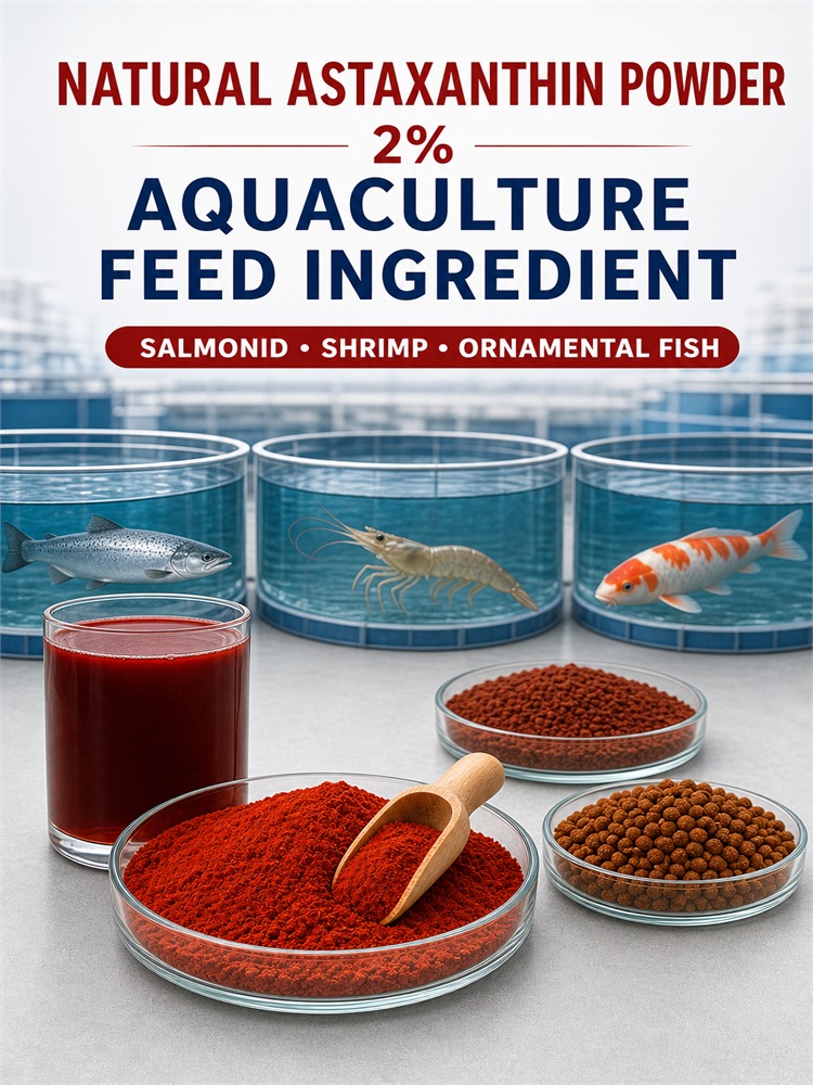 Astaxanthin Powder for Aquaculture Nutrition Sourcing for Nutrition Ingredient Sourcing product detail image 7