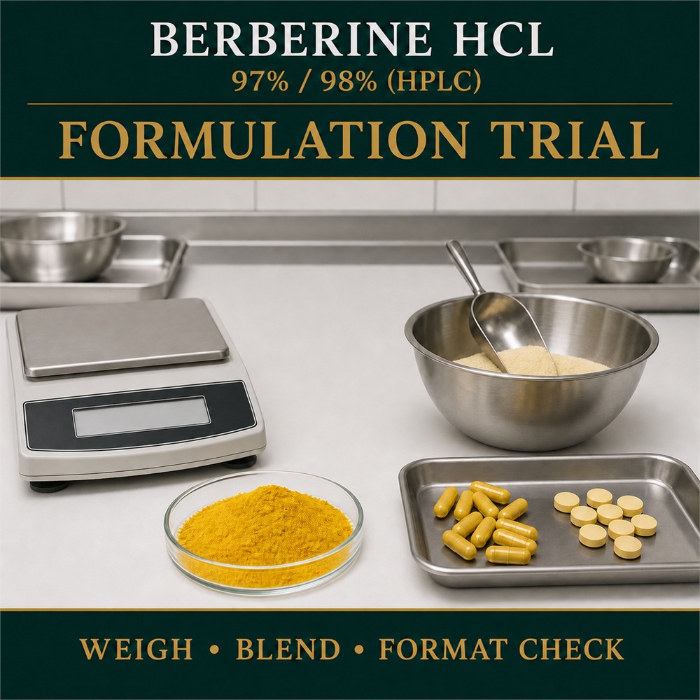 Berberine HCl Powder for Nutrition Ingredient Sourcing product detail image 4
