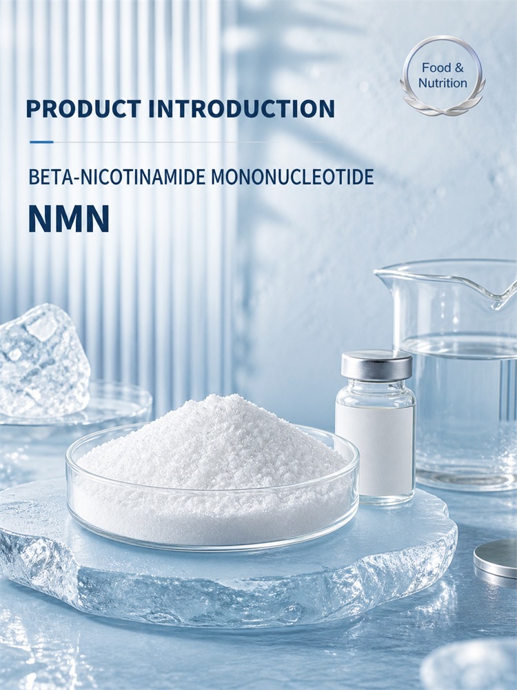 Beta-Nicotinamide Mononucleotide for Specialty Active Ingredient Sourcing product detail image 7