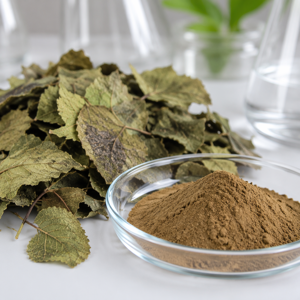 Epimedium Extract for Botanical Ingredient Sourcing product detail image 2