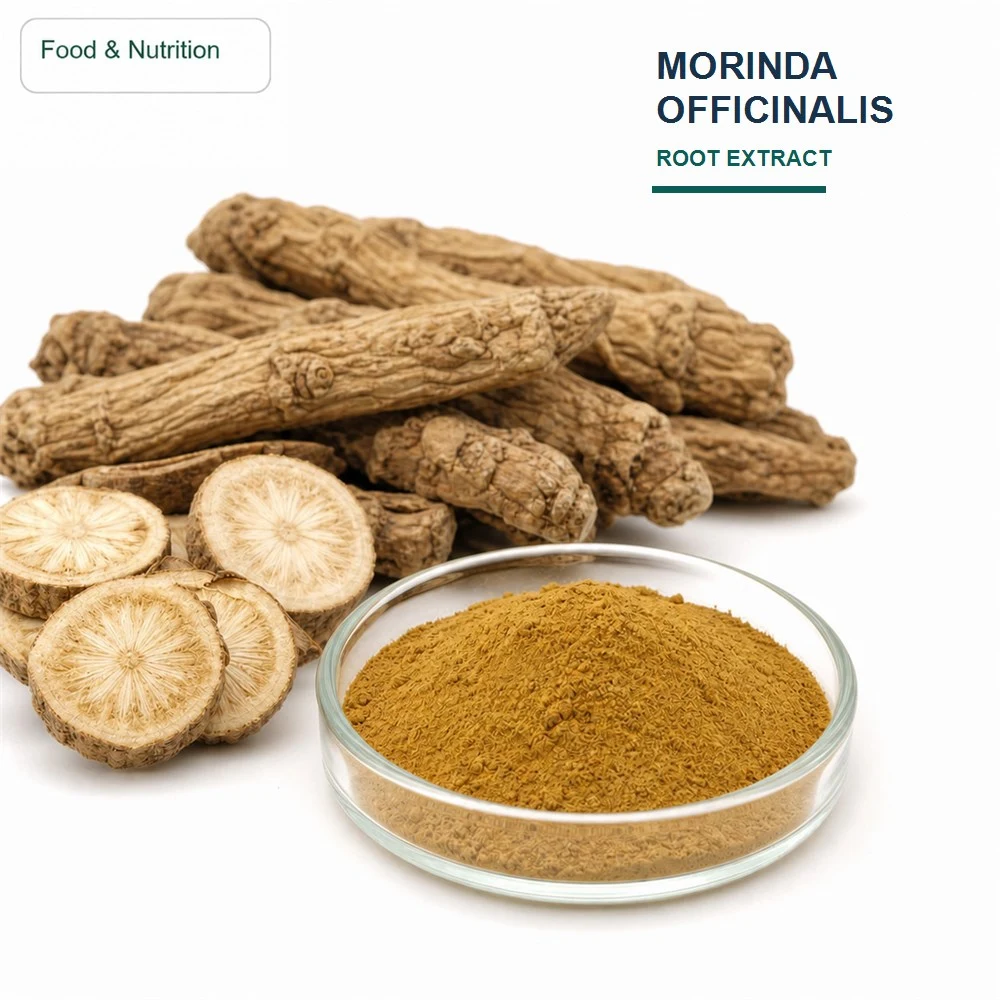 Morinda Officinalis Root Extract for Bulk Ingredient Sourcing product main image