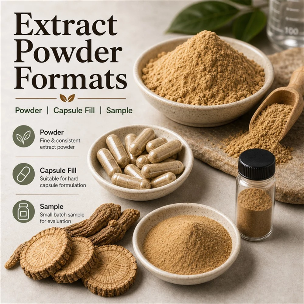 Morinda Officinalis Root Extract for Bulk Ingredient Sourcing product image 3