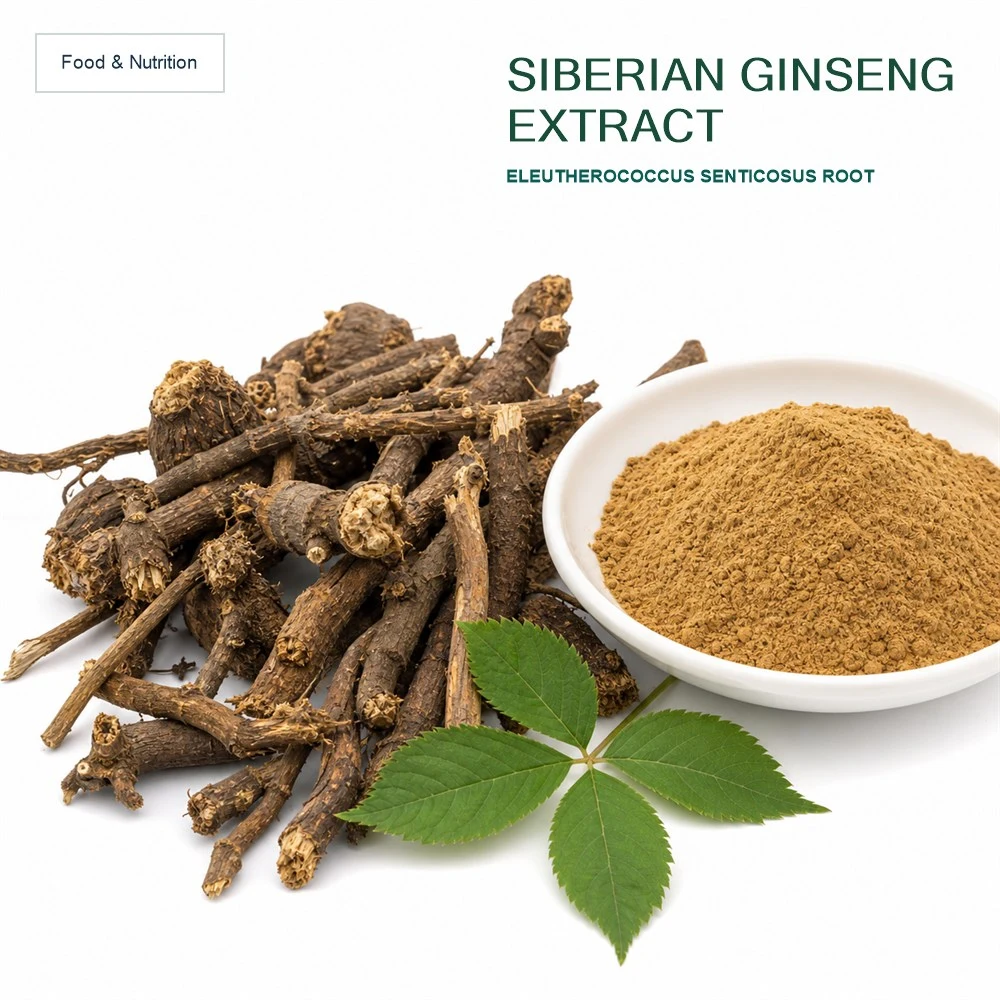 Siberian Ginseng Extract for Bulk Ingredient Sourcing product main image