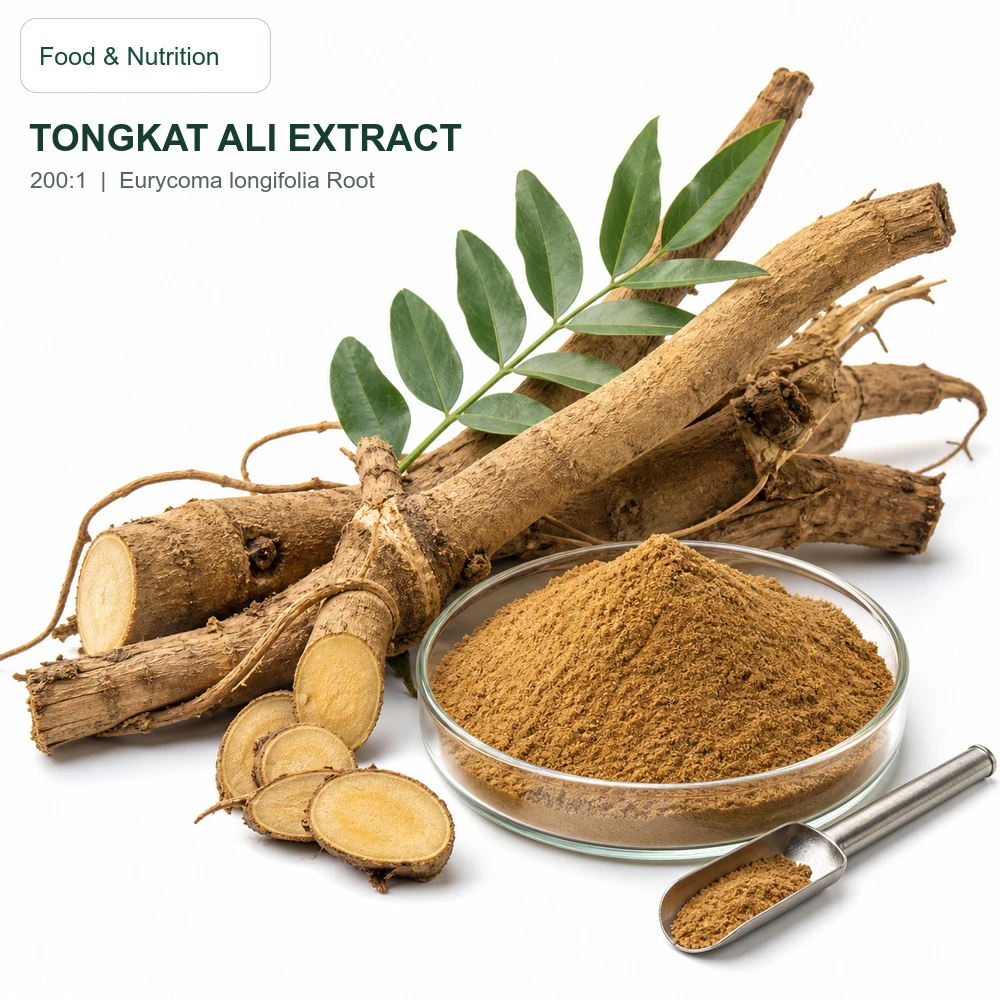 Tongkat Ali Extract 200:1 for Bulk Ingredient Sourcing product main image