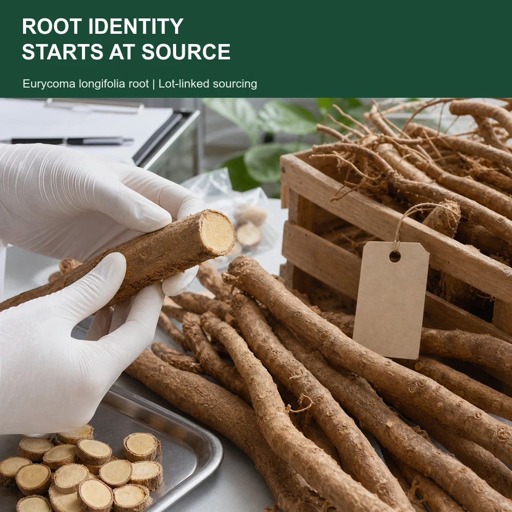Tongkat Ali Extract 200:1 for Bulk Ingredient Sourcing product image 2