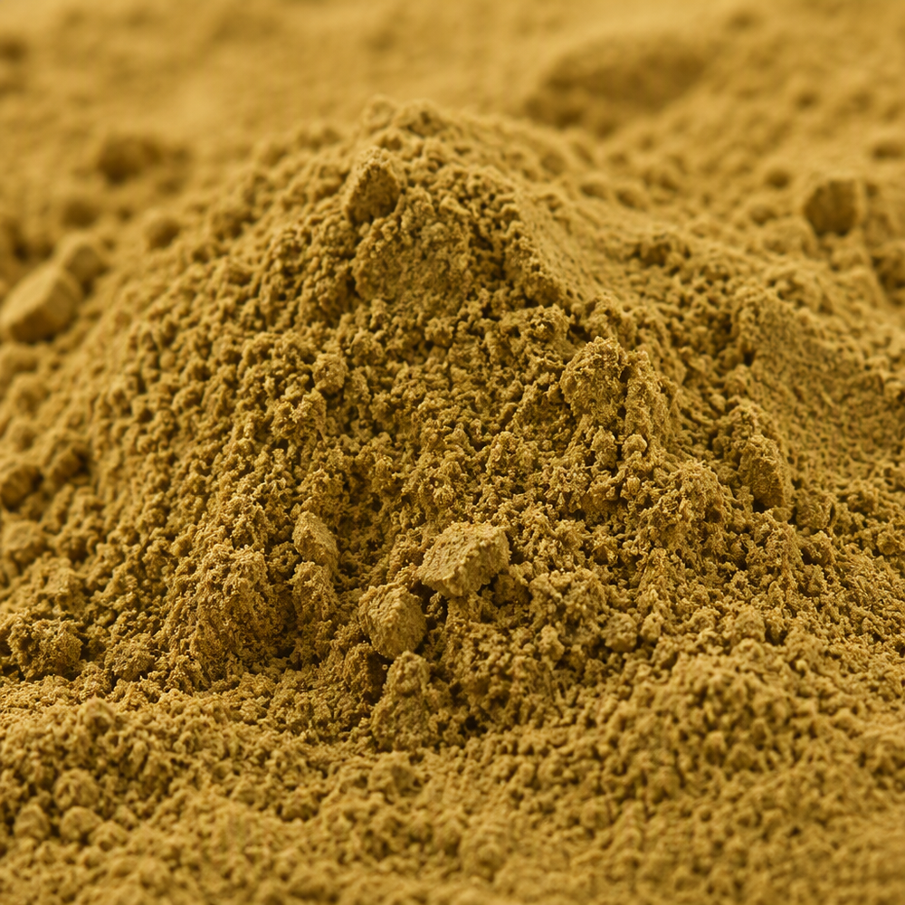 Bacopa Monnieri Extract powder appearance reference