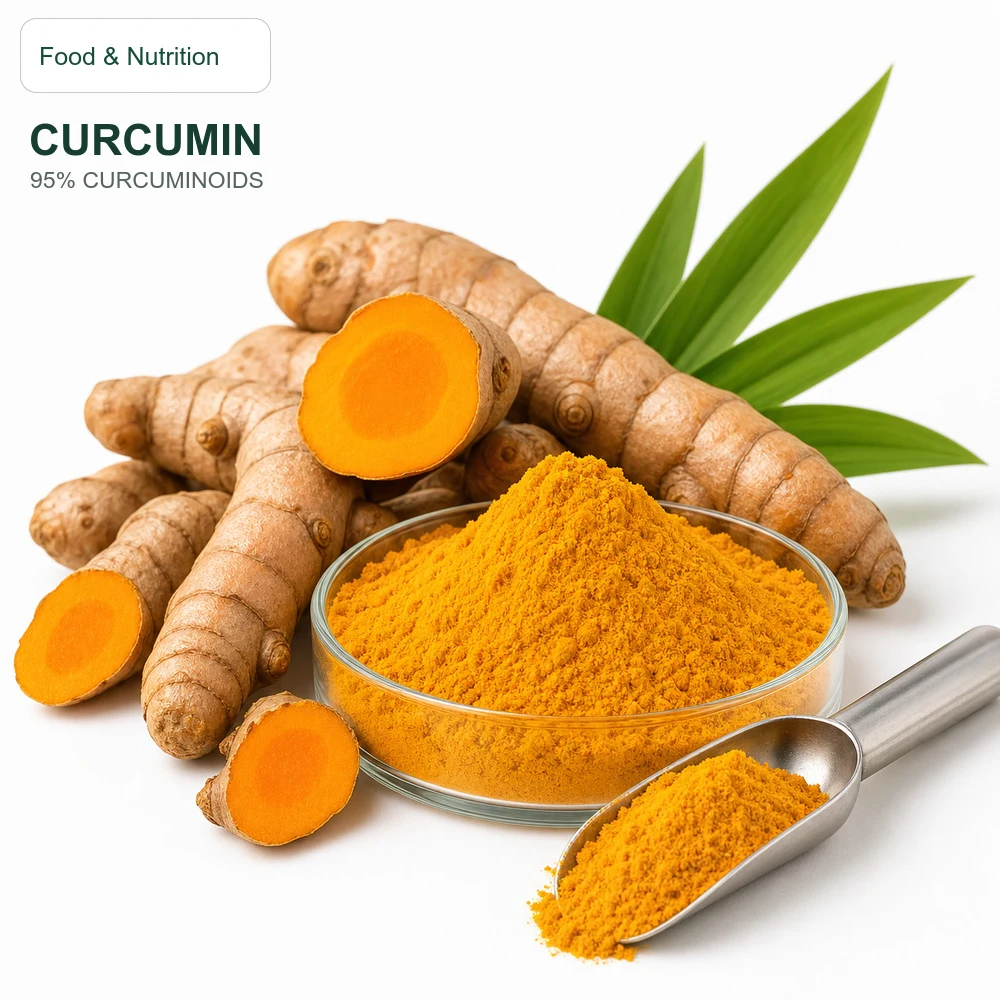 Curcumin 95% Curcuminoids for Bulk Ingredient Sourcing product main image