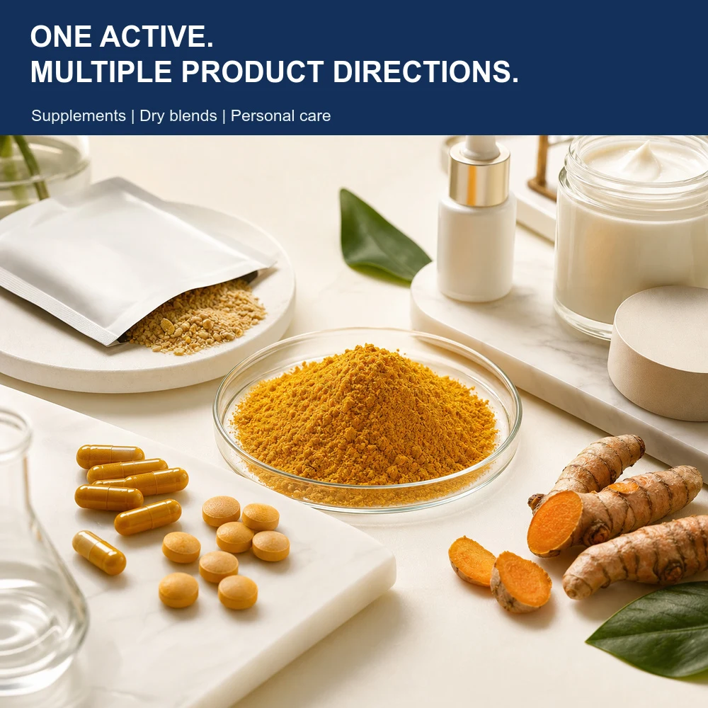 Curcumin 95% Curcuminoids for Bulk Ingredient Sourcing product image 5