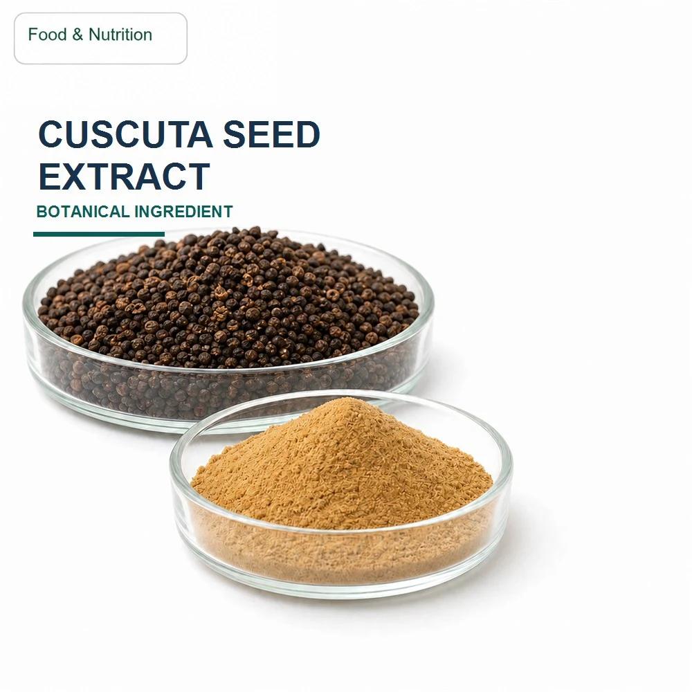 Cuscuta Seed Extract for Bulk Ingredient Sourcing product main image