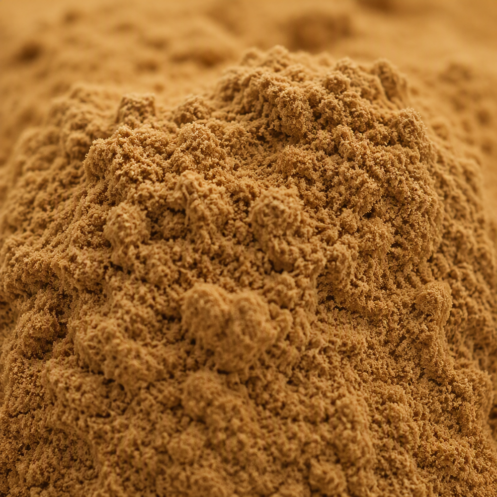 Schisandra Berry Extract powder appearance reference