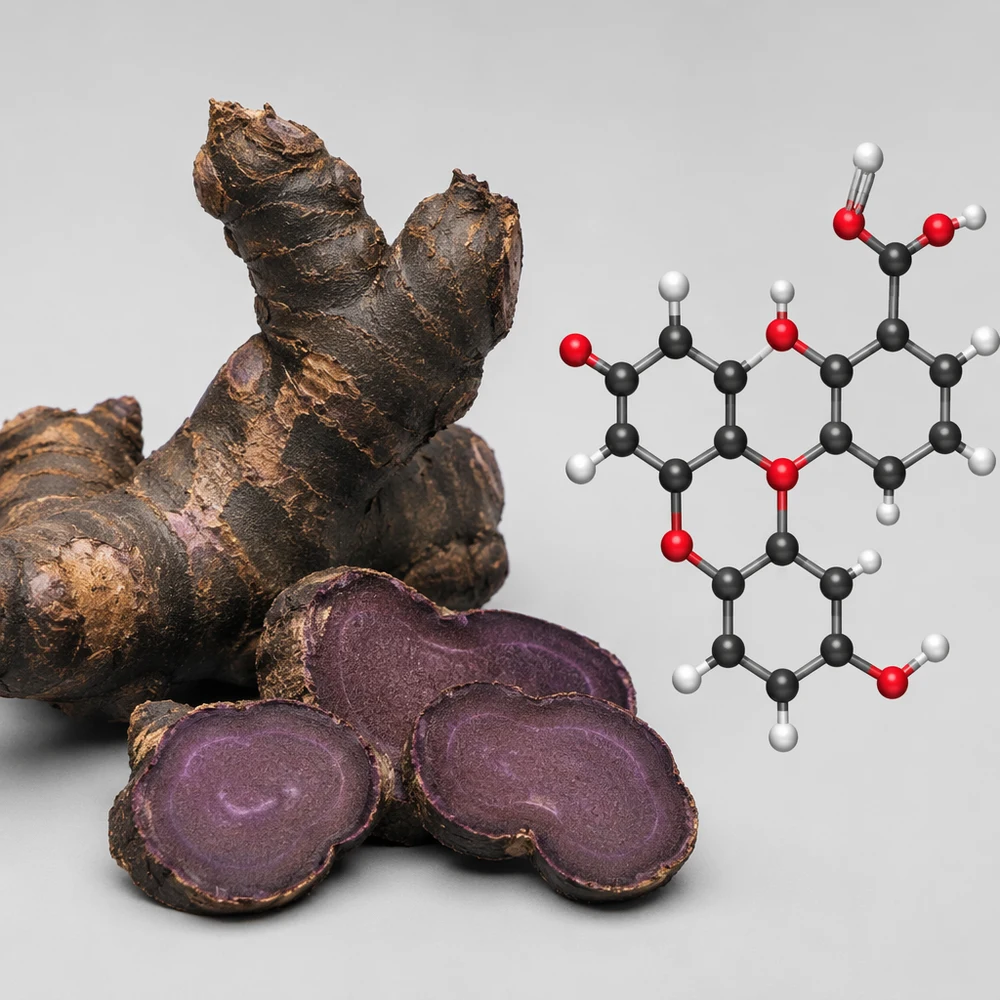Black Ginger Extract (10% DMF) ingredient and specification presentation