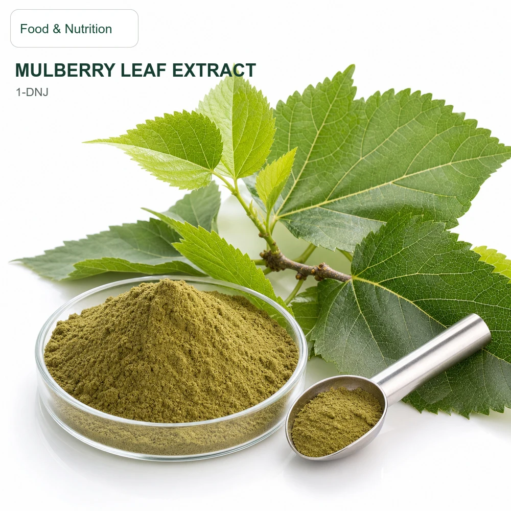 Mulberry Leaf Extract product sourcing presentation