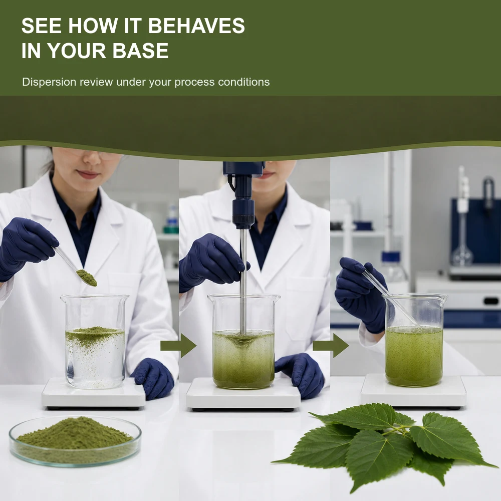 Mulberry Leaf Extract ingredient and specification presentation