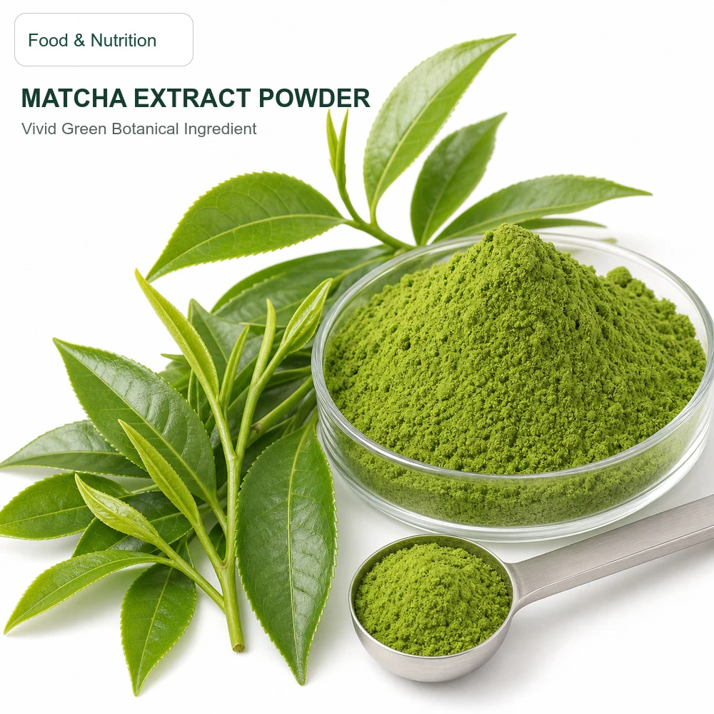 Matcha Extract product sourcing presentation
