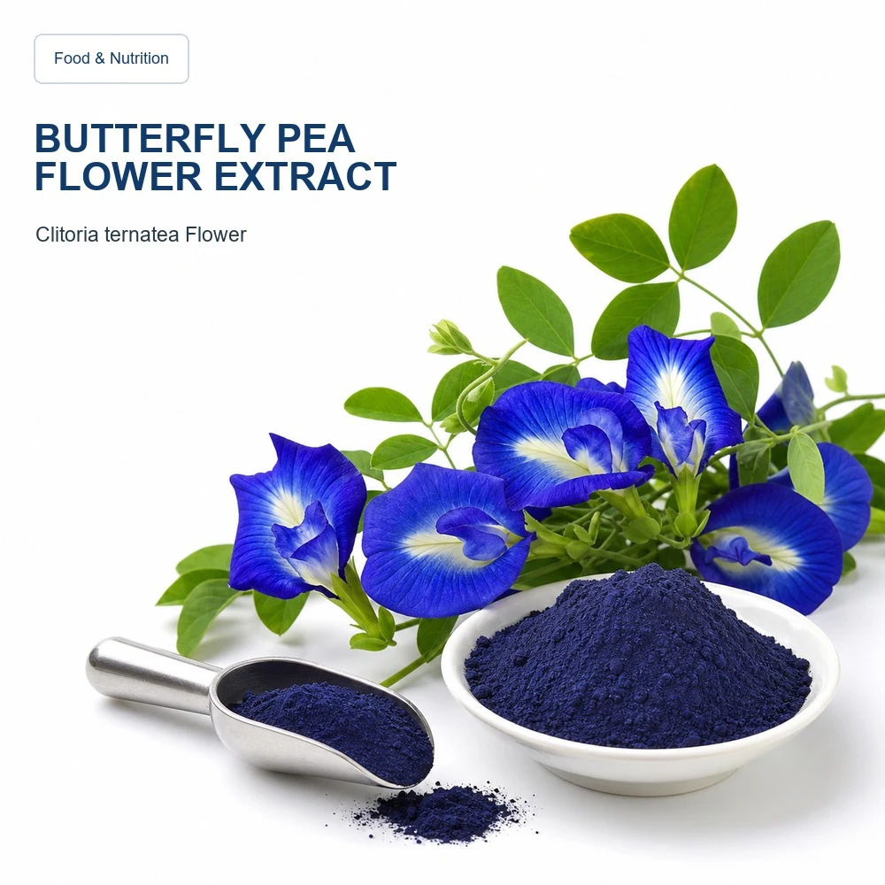 Butterfly Pea Flower Extract product sourcing presentation