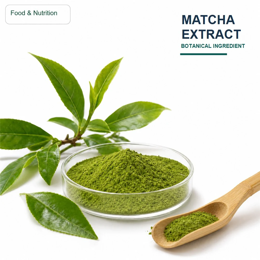 Matcha Extract Herbal Project Option product sourcing presentation