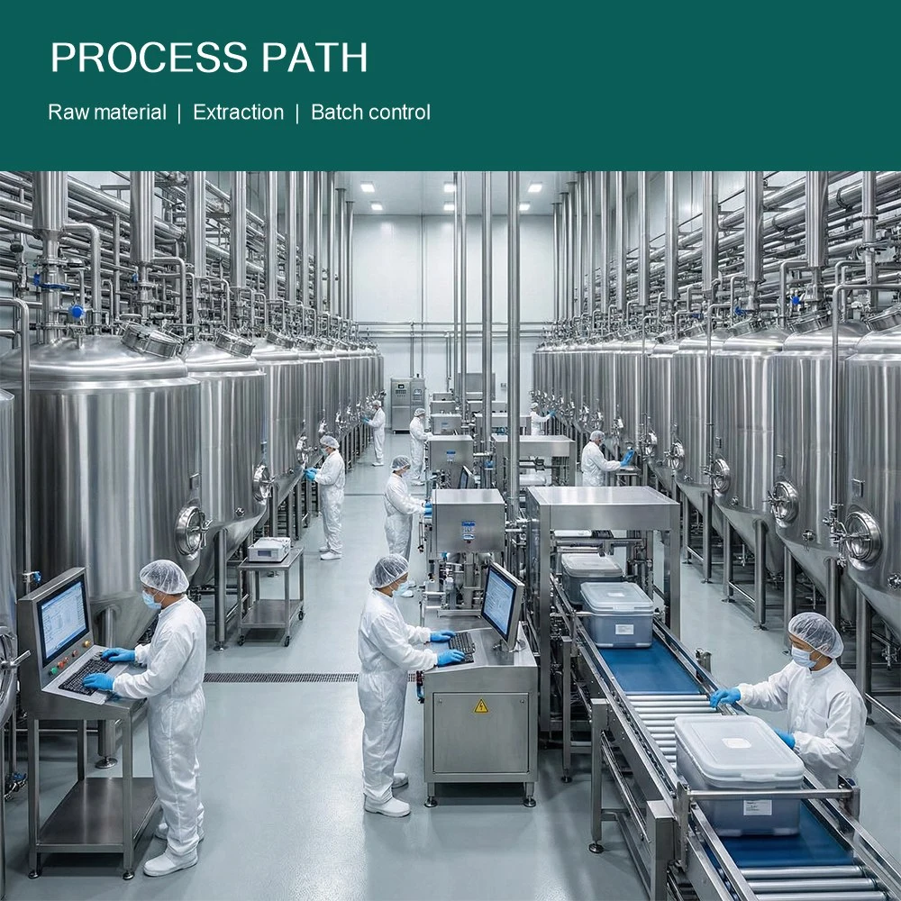 Yamish Extract application and project presentation