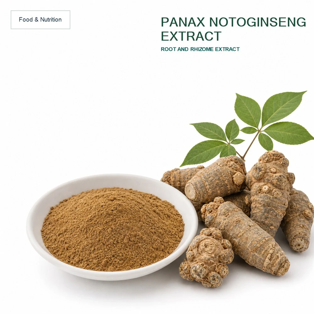 Panax Notoginseng Extract product sourcing presentation