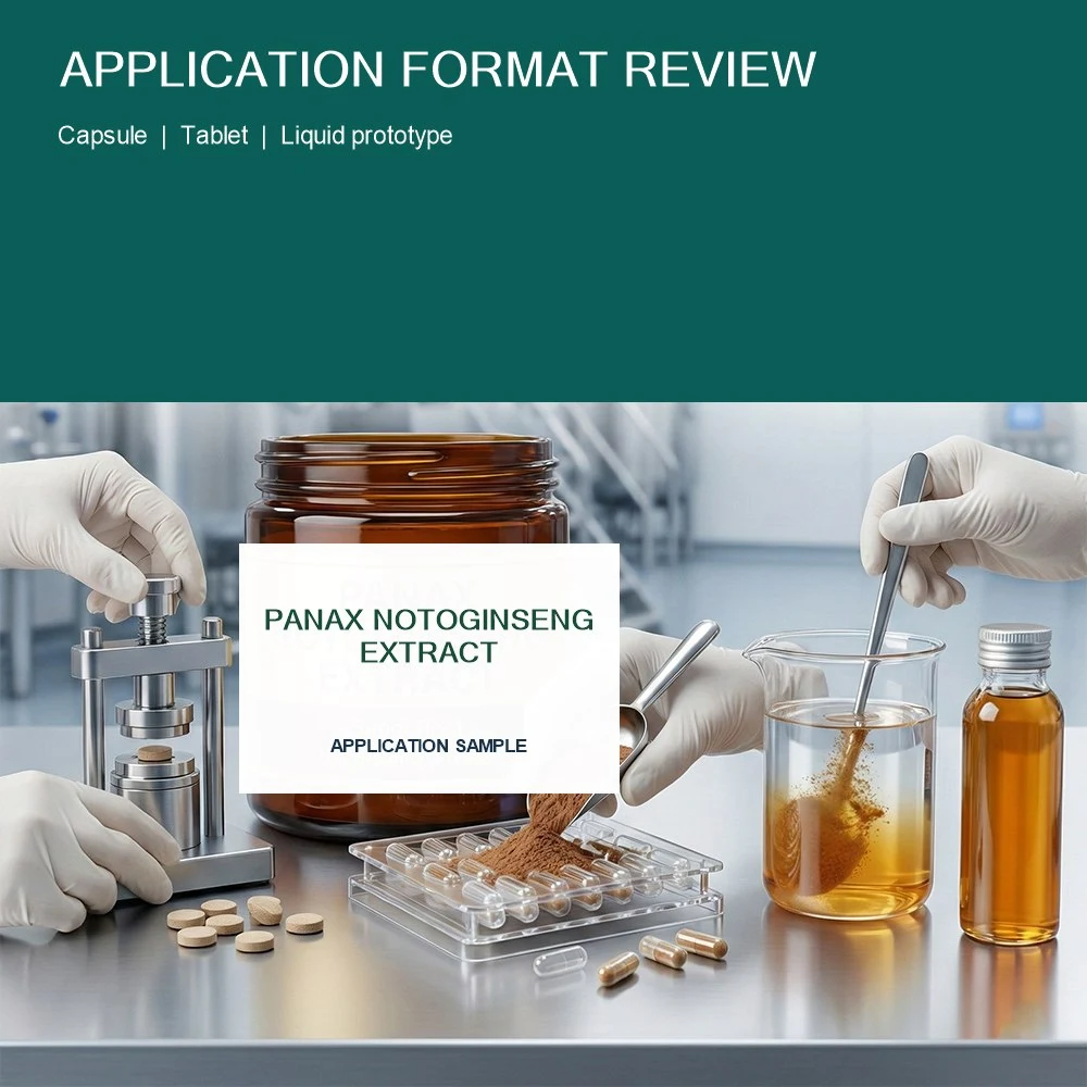 Panax Notoginseng Extract packaging and supply presentation