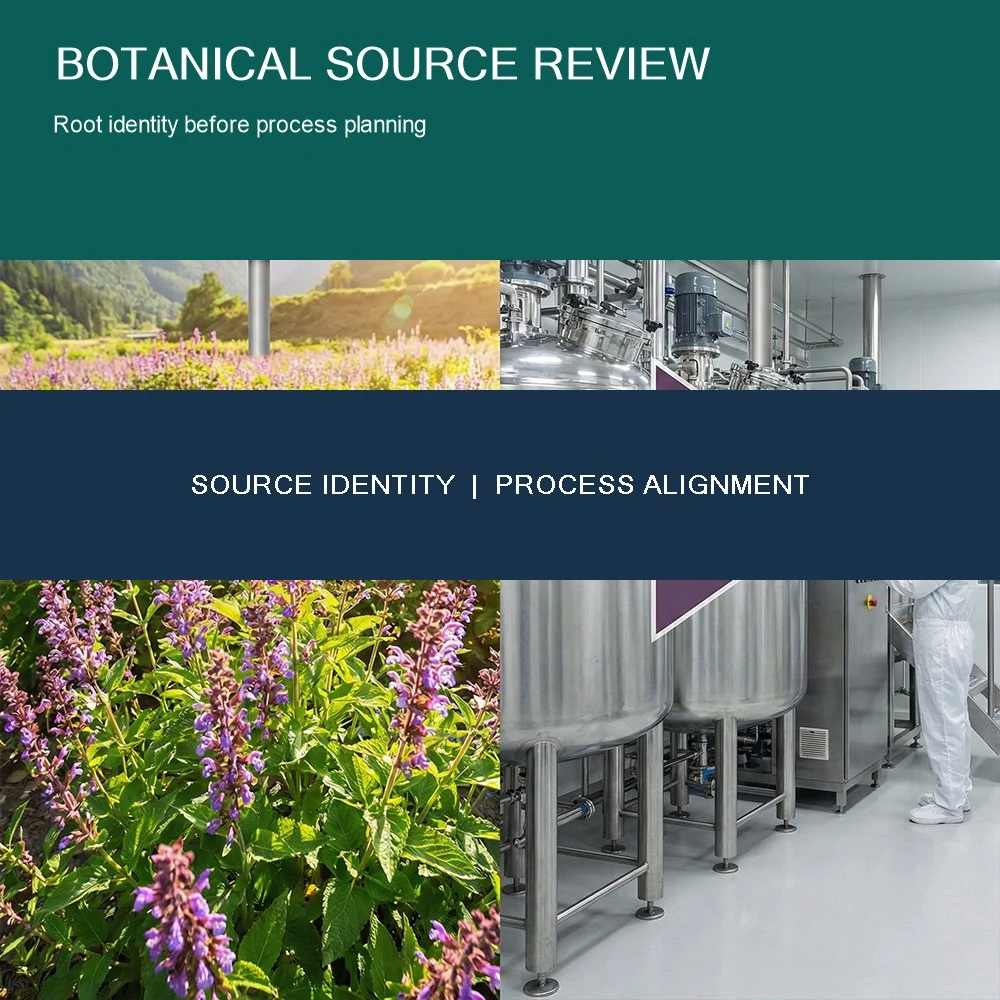 Danshen Root Extract application and project presentation