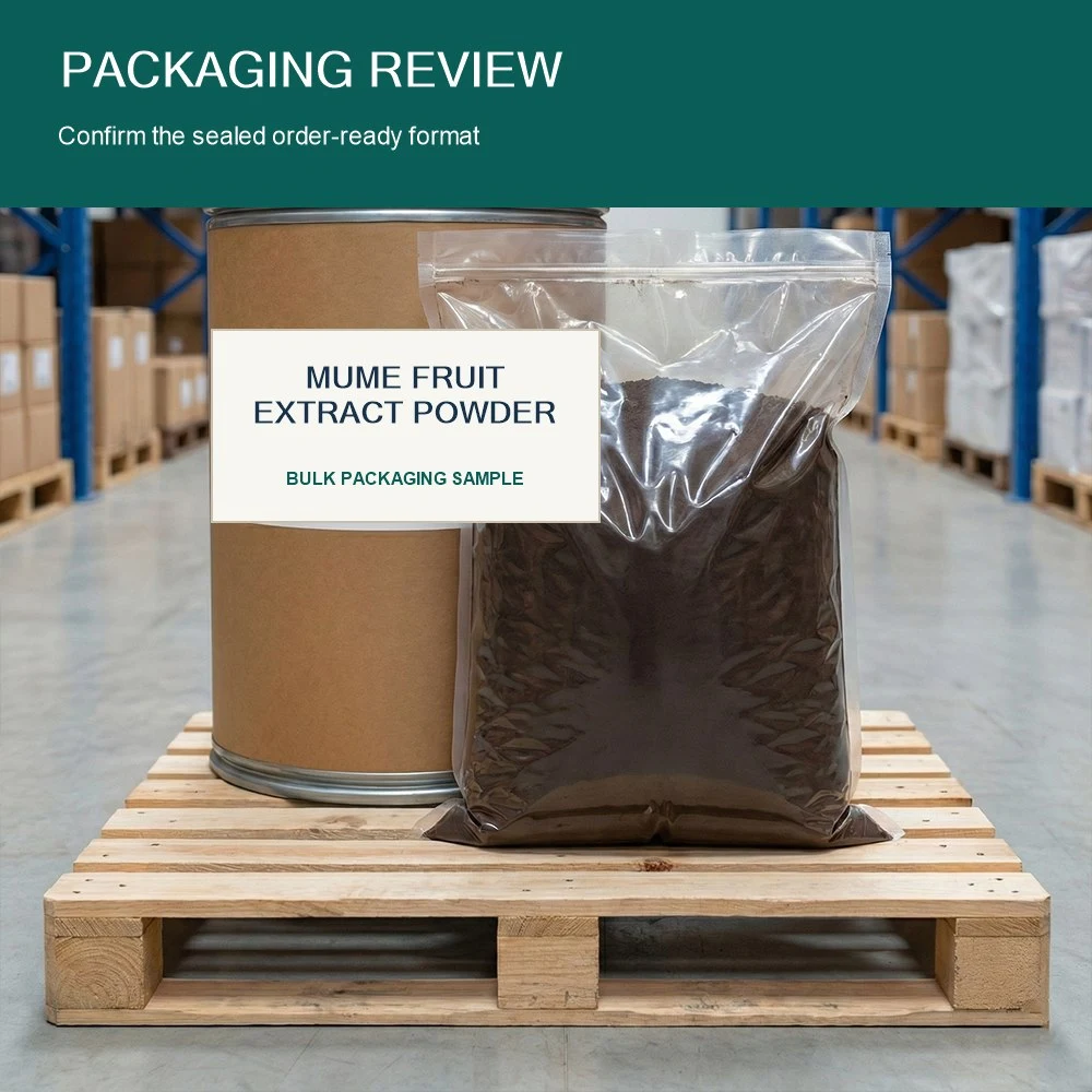 Prunus Mume Fruit Extract packaging and supply presentation
