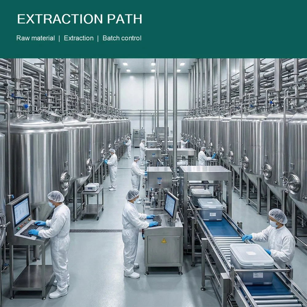 Boswellia Serrata Extract packaging and supply presentation