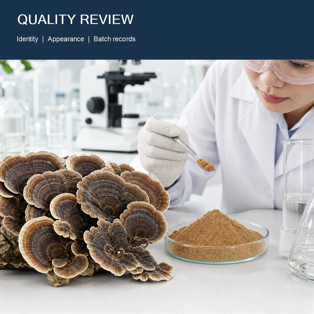 Turkey Tail Mushroom Powder product format presentation