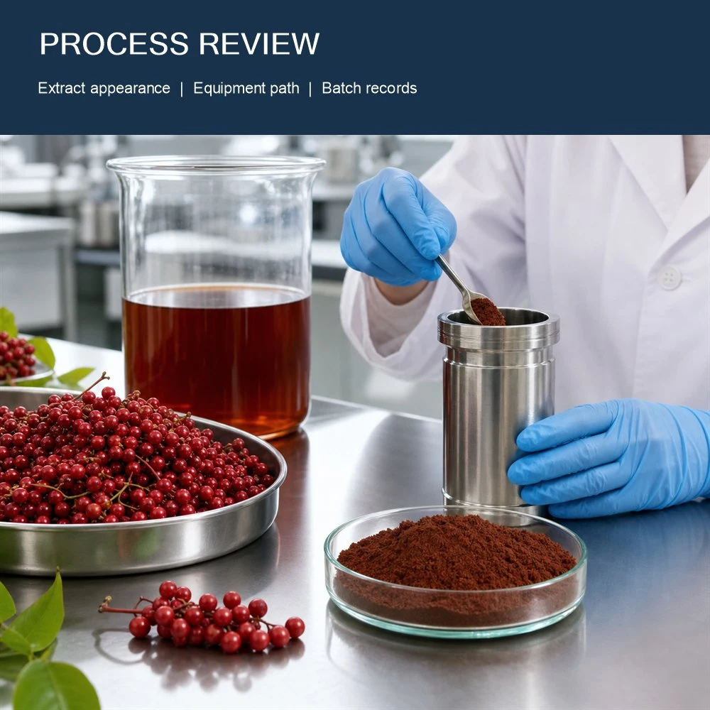 Schisandra Chinensis Extract product format presentation