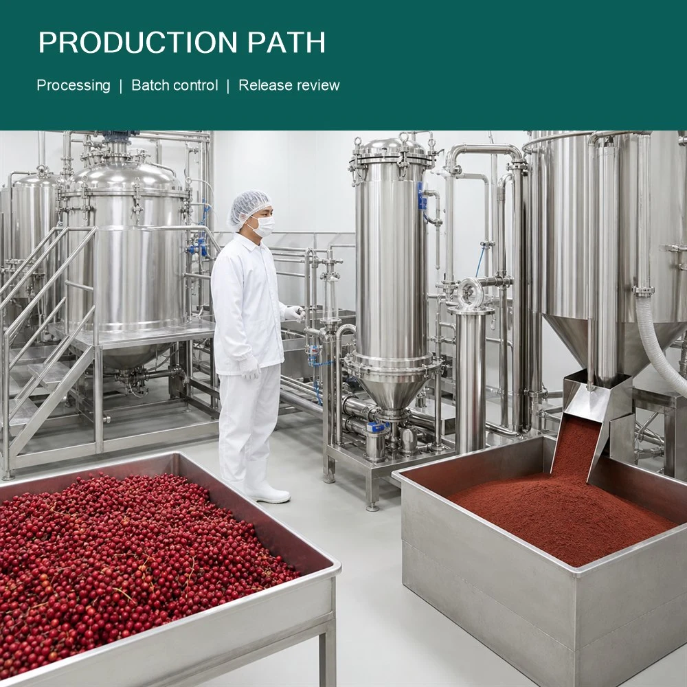 Schisandra Chinensis Extract packaging and supply presentation