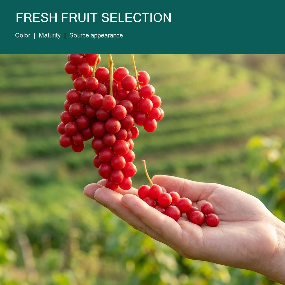 Five-Flavor Berry Extract packaging and supply presentation