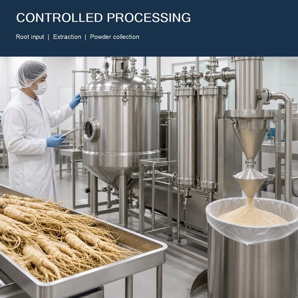 Panax Ginseng Root Extract packaging and supply presentation