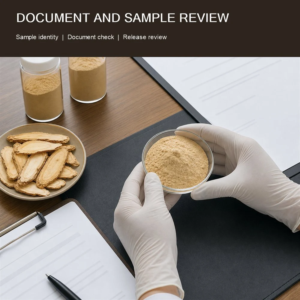 Ginseng Extract Project Option application and project presentation
